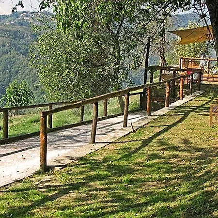 L'ormasso